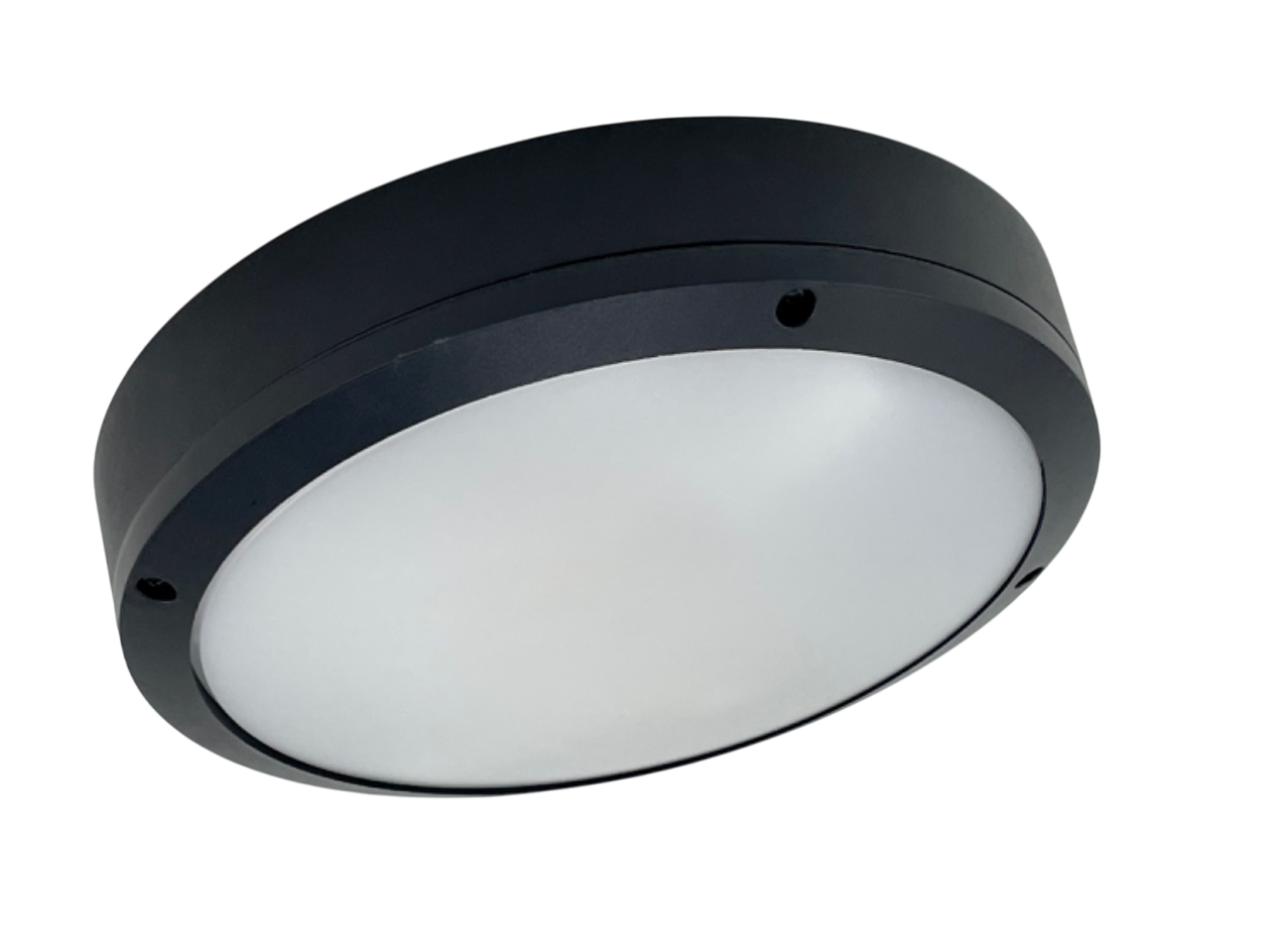 Plafoniera Esterno Tonda 2 Luci E27 IP65 Spacelux 28897