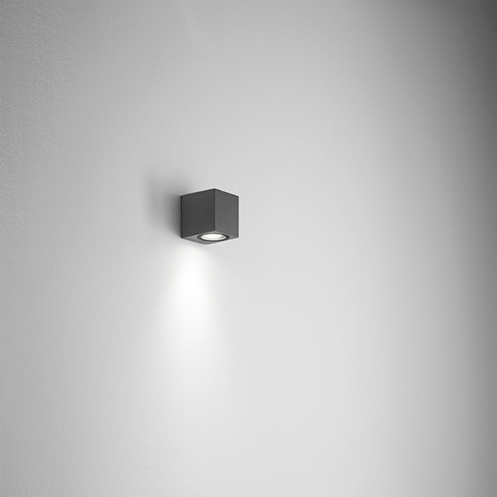 Isyluce 539