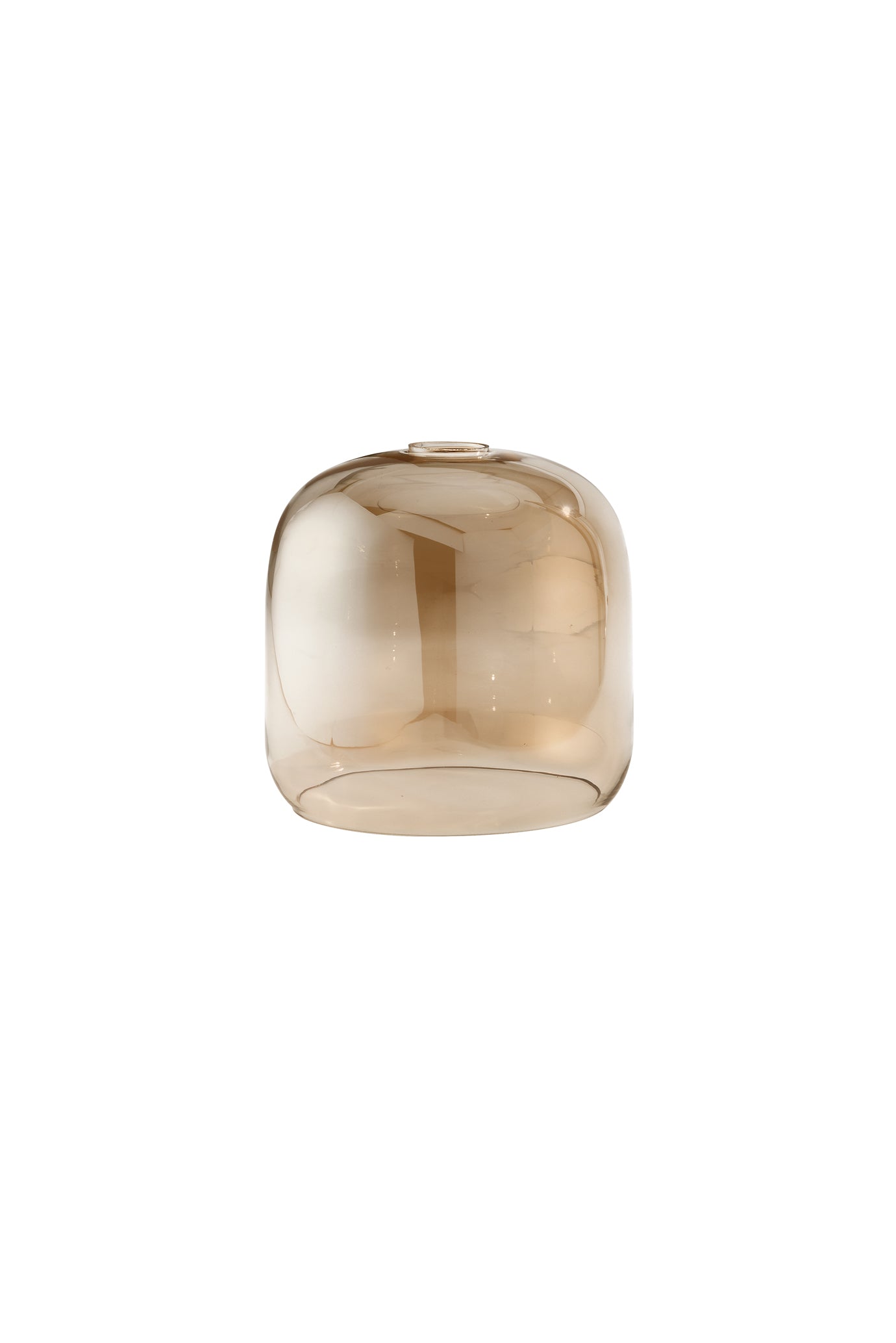 Perenz Anima 6952 Ambra