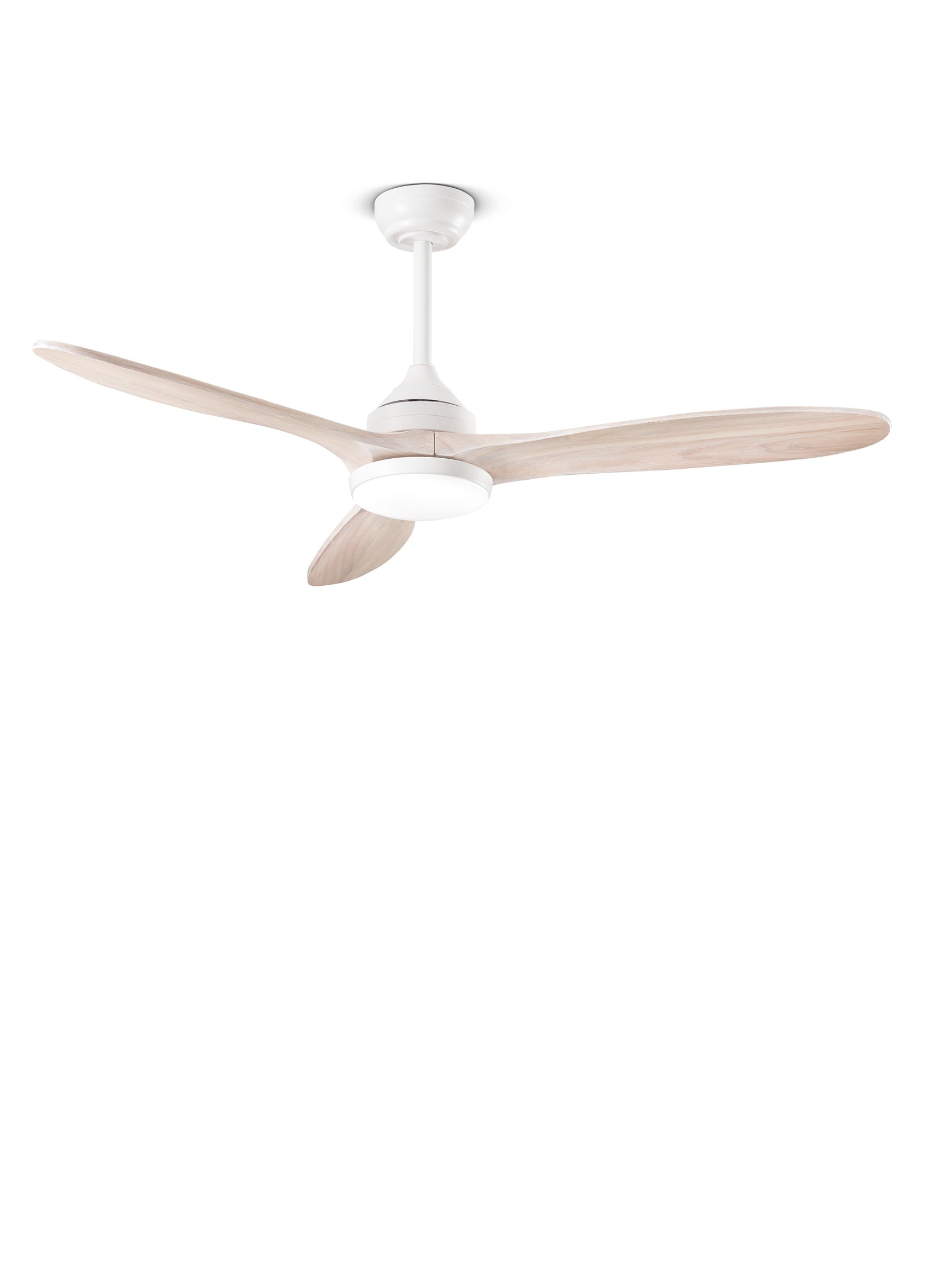 Foto ufficiale Perenz Triade 7171 B CT