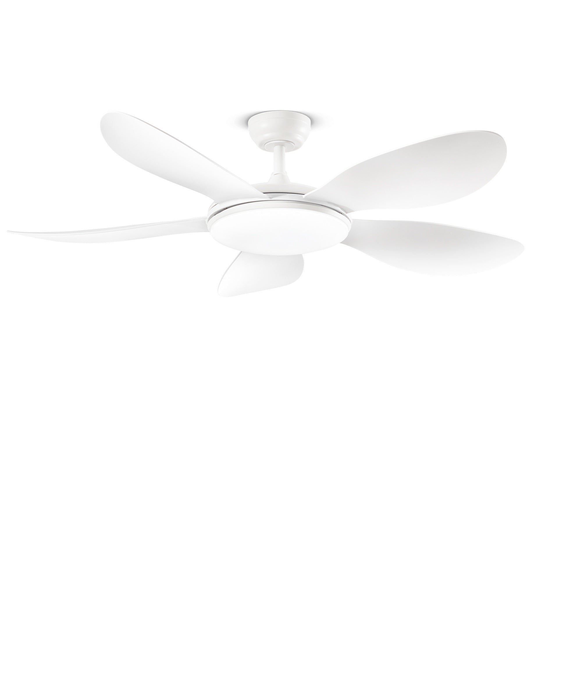 Foto ufficiale Perenz Smarti 7173 B CT