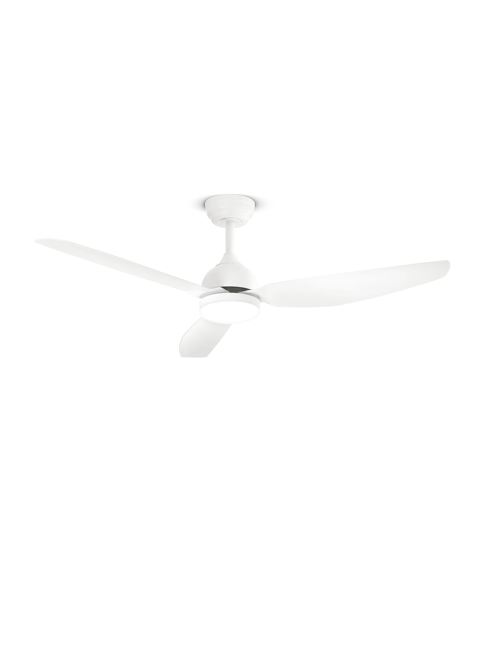 Foto ufficiale Perenz Pegaso+ 7189 B CT