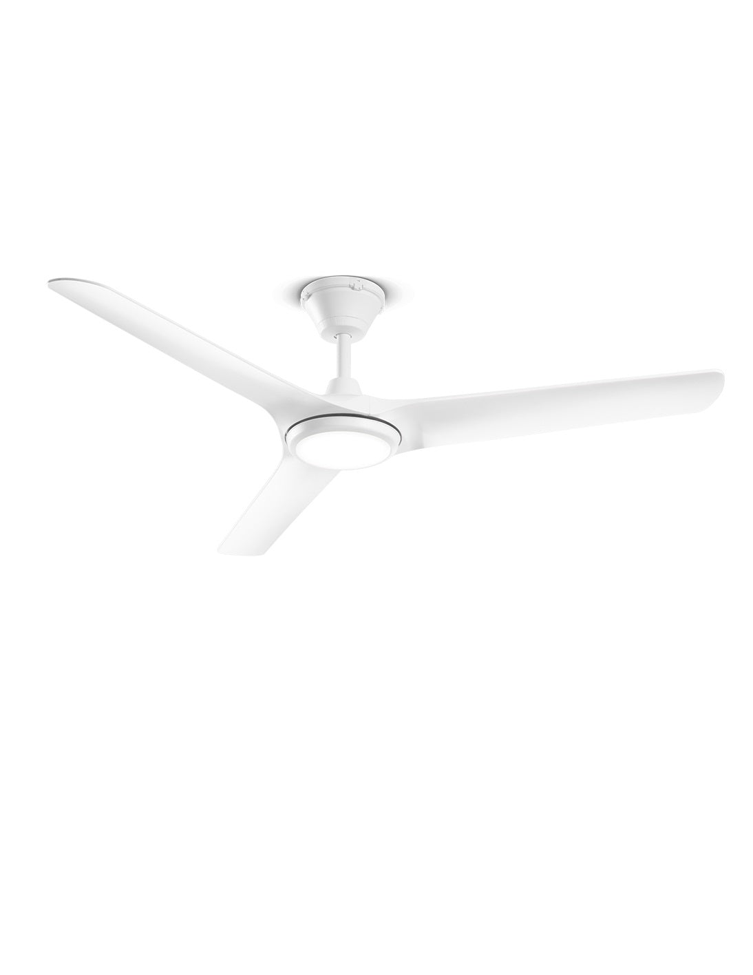 Foto ufficiale Perenz Nova 7194 B CT