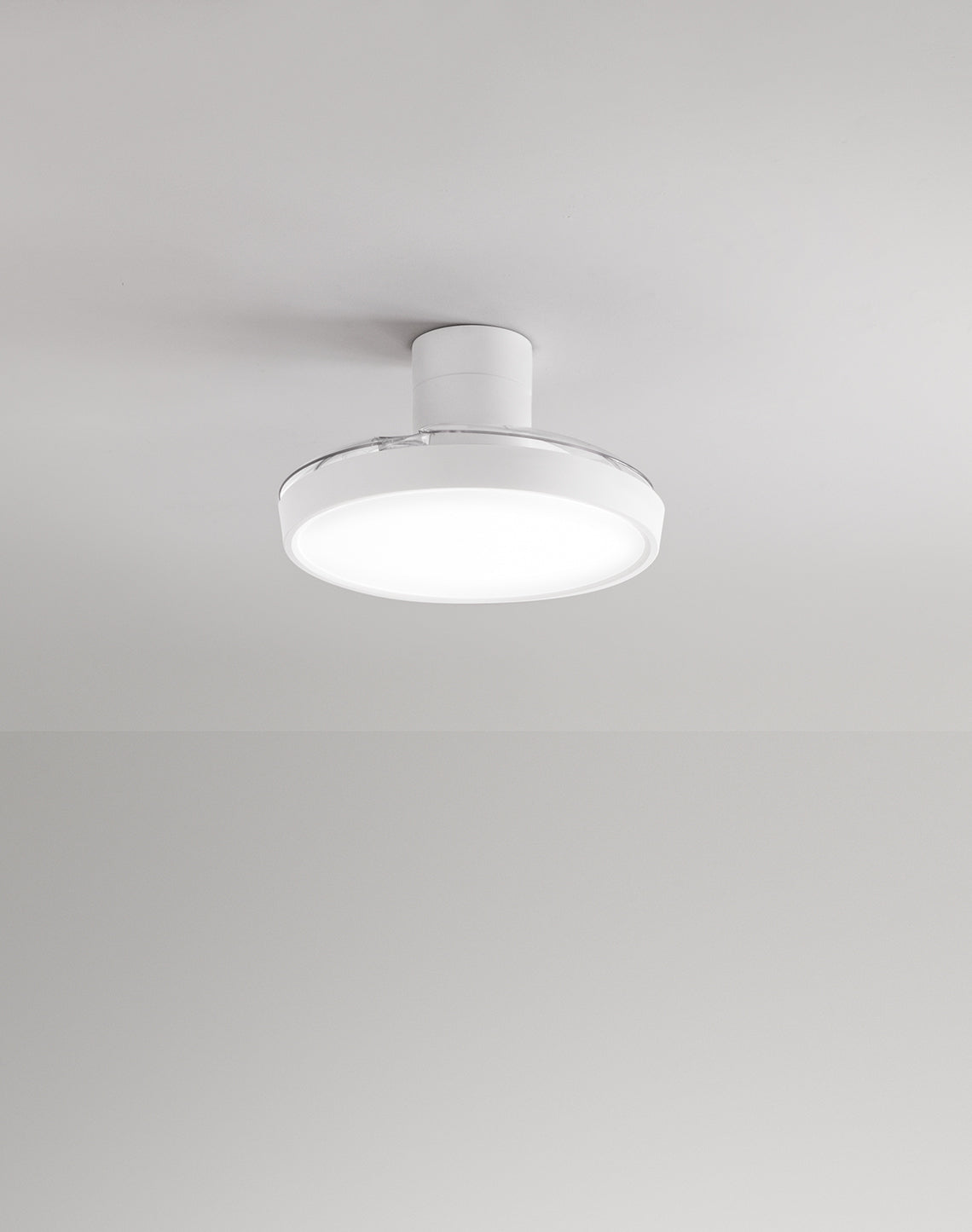 Foto ufficiale Perenz Zora 7195 B CT