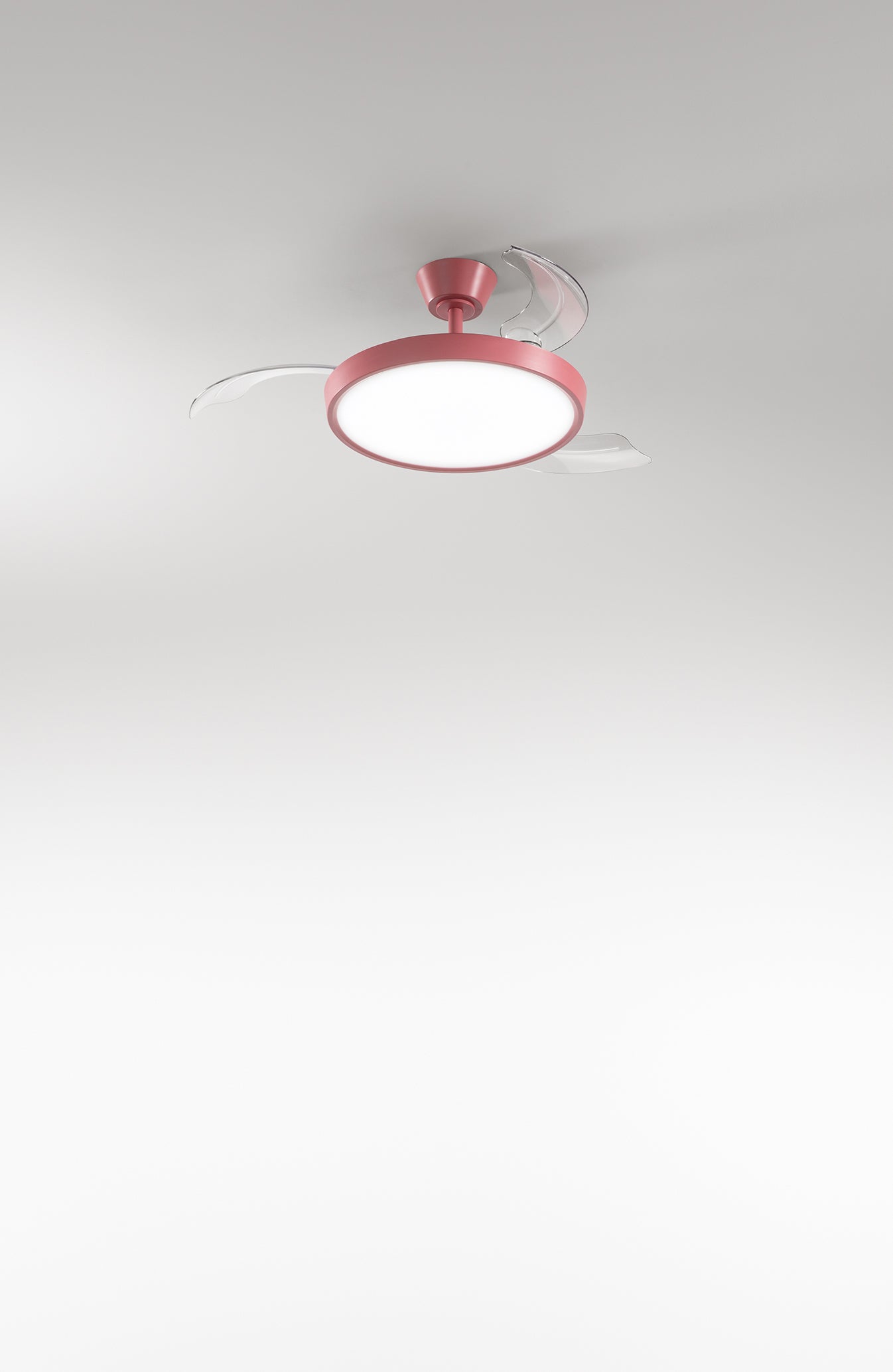 Foto ufficiale Perenz Myra 7196 R CT