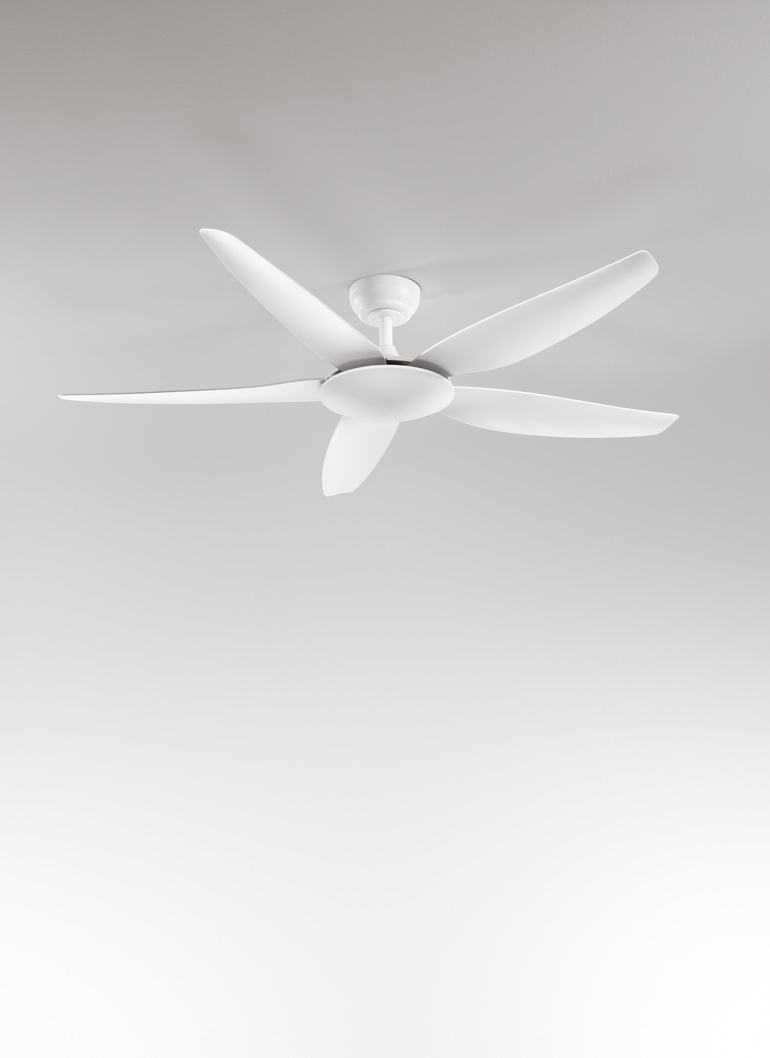 Foto ufficiale Perenz Wind 7200 B