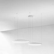 Sospensione a Doppio Anello Distanziato LED – Gea Luce Erika S/2D