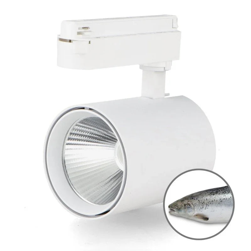 Faretto LED 30W per Pesce Bianco – No Flicker per Binario Monofase | Diamantlux