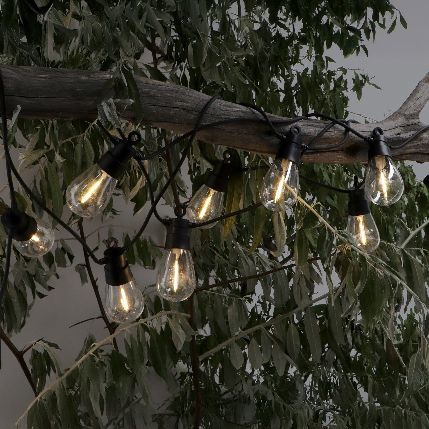 Ghirlanda LED Solare 10 Lampadine 6,5 Metri per Esterno IP54