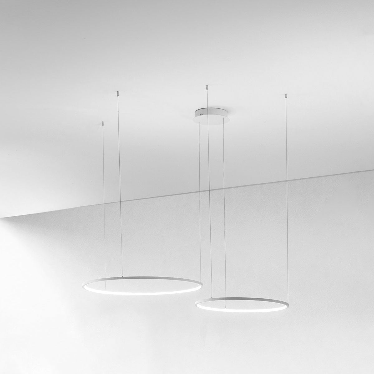 Lampadario due Cerchi LED Bianco Ø60-80 Orizzontale - Favolux Halo SP2D