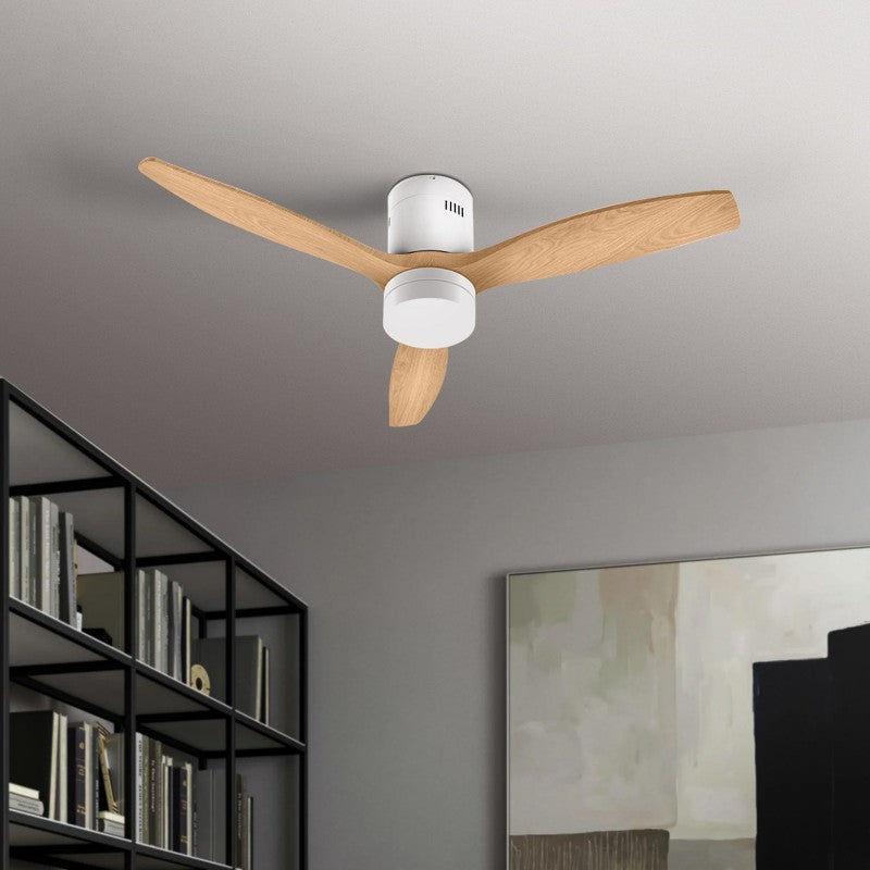 Ventilatori da Soffitto con LUce